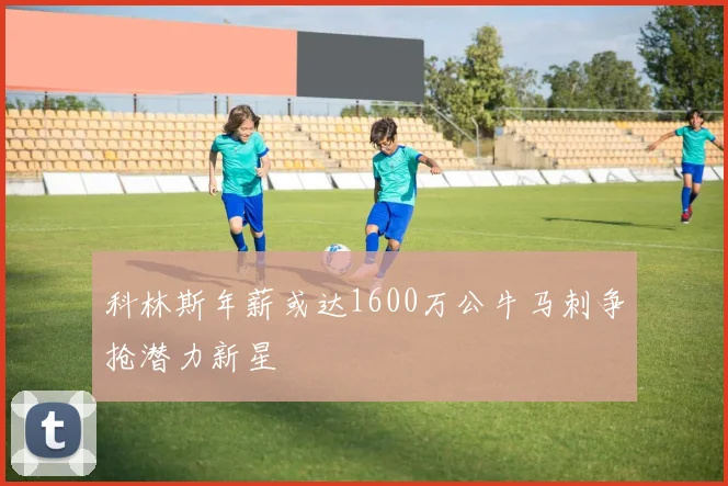 科林斯年薪或达1600万公牛马刺争抢潜力新星